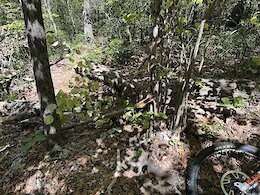 report photo