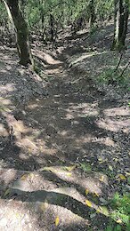 report photo