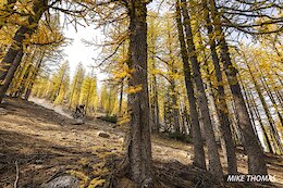 Race Report: Trans-Cascadia 2025 Wrapped – Trail Work, Racing & TCPN Video Reporting