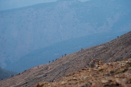 Race Recap: Trans BC 2025