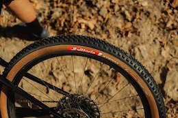 Vittoria Announces New XC Trail & Trail Tire Lineup