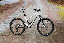 10 Things I Loved in 2025: Dario DiGiulio