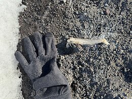report photo