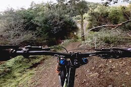 Video: Danny Hart’s Rapid POV from Winter Test Laps in Lousã