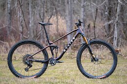 The New Allied Fitz Puts the “Light” Back Into Light Trail