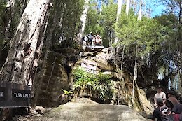 Video: Bigger Gaps & Faster Speeds – Ed Masters Previews the Red Bull Hardline Tasmania Course