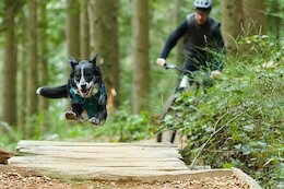 Video: Jason Lucas’ Self-Shot Short Film with his Trail Dog ‘Maya’