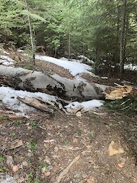 report photo
