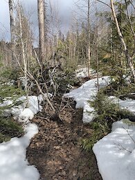 report photo