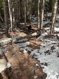 report photo