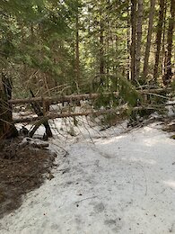 report photo