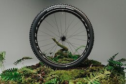 Reynolds Releases Aluminum Wheels With A Lifetime Warranty