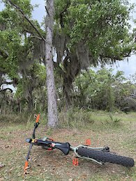 report photo