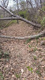 report photo