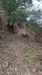 report photo