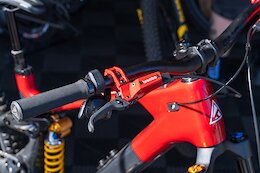 Dario’s Randoms Part 1 – Sea Otter 2026