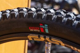 Dario’s Randoms Round 2 – Sea Otter 2026