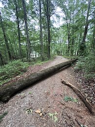 report photo
