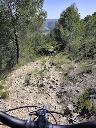report photo