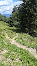 report photo