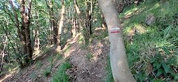report photo