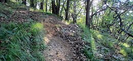 report photo