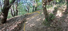 report photo