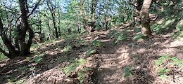 report photo