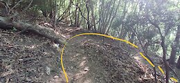report photo