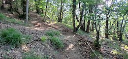 report photo