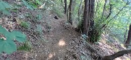 report photo