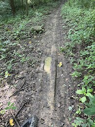 report photo