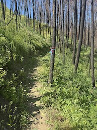 report photo