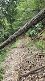 report photo