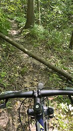 report photo