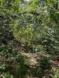 report photo