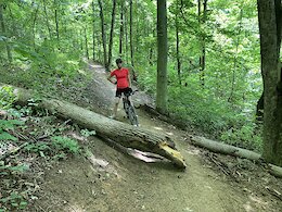 report photo