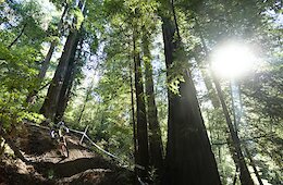 $17,000 Prize Purse Announced for 2026 Triple Crown UCI DH Series This Fall