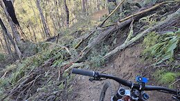 report photo