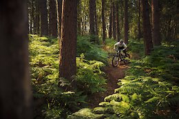 Video: 69 Seconds of Sam Reynolds Shredding in Surrey