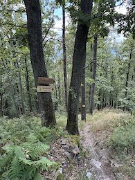 report photo