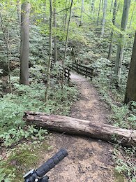 report photo