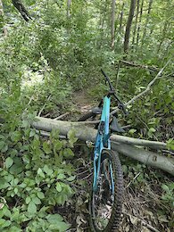 report photo