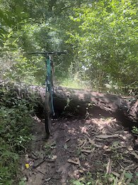 report photo