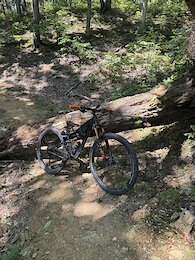 report photo