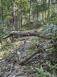 report photo
