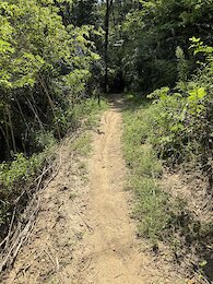 report photo