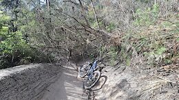 report photo