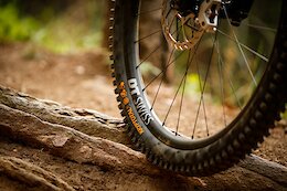 Continental Expands Gravity Line With 13 New Tire Options