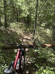 report photo